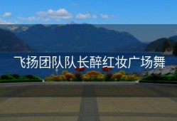 飞扬团队队长醉红妆广场舞