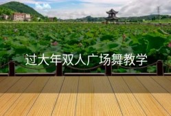 过大年双人广场舞教学