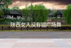 陕西女人没有错广场舞
