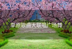 草原歌曲大联唱广场舞