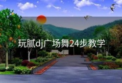 玩腻dj广场舞24步教学