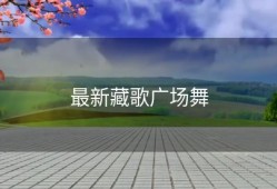 最新藏歌广场舞