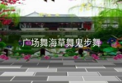 广场舞海草舞鬼步舞