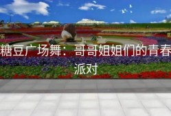 糖豆广场舞：哥哥姐姐们的青春派对