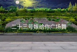 二十三号嫁给你广场舞