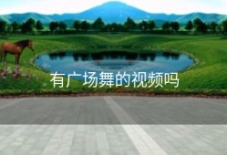 有广场舞的视频吗