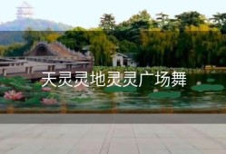 天灵灵地灵灵广场舞