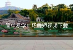 简单易学广场舞短视频下载