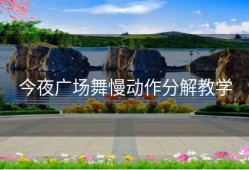 今夜广场舞慢动作分解教学