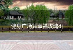 健身广场舞幸福玫瑰dj