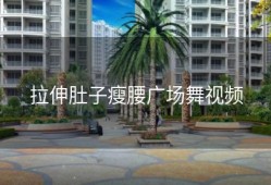 拉伸肚子瘦腰广场舞视频