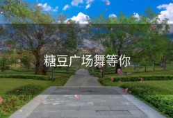 糖豆广场舞等你