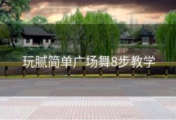 玩腻简单广场舞8步教学