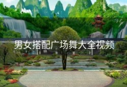 男女搭配广场舞大全视频