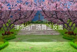 擦伤dj广场舞正反面