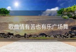 歌曲情有苦也有乐广场舞