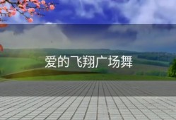 爱的飞翔广场舞