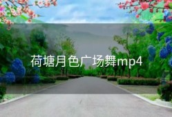 荷塘月色广场舞mp4