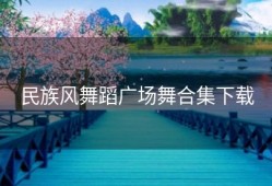 民族风舞蹈广场舞合集下载