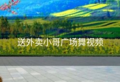 送外卖小哥广场舞视频