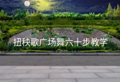 扭秧歌广场舞六十步教学