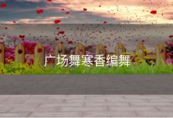 广场舞寒香编舞