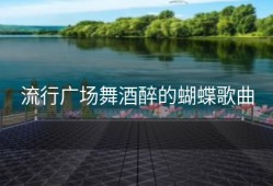 流行广场舞酒醉的蝴蝶歌曲