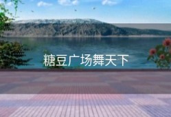 糖豆广场舞天下