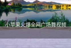 小苹果火爆全网广场舞视频