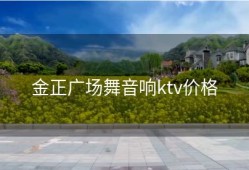 金正广场舞音响ktv价格