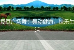 豆豆广场舞：舞动健康，快乐生活