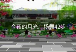 今夜的月光广场舞42步