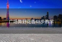 广场舞野花香48步教学