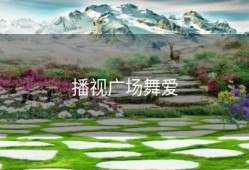 播视广场舞爱