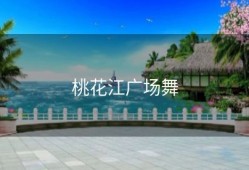 桃花江广场舞