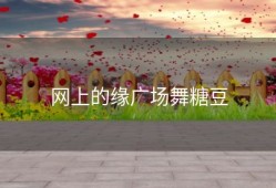 网上的缘广场舞糖豆