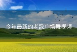 今年最新的老歌广场舞视频