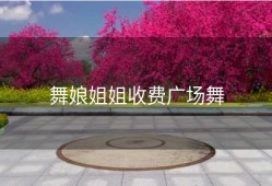 舞娘姐姐收费广场舞