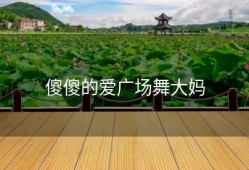 傻傻的爱广场舞大妈