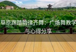 草原踢踏韵律齐舞：广场舞教学与心得分享
