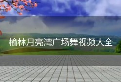 榆林月亮湾广场舞视频大全