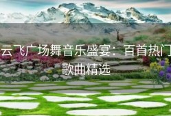 云飞广场舞音乐盛宴：百首热门歌曲精选