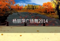 杨丽萍广场舞2014