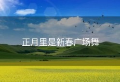 正月里是新春广场舞