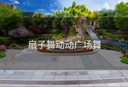 扇子舞动动广场舞