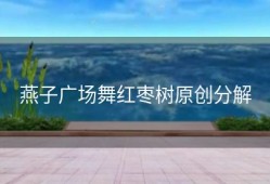 燕子广场舞红枣树原创分解