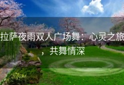 拉萨夜雨双人广场舞：心灵之旅，共舞情深