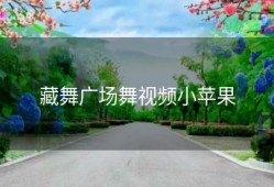 藏舞广场舞视频小苹果