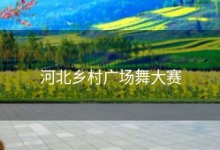 河北乡村广场舞大赛