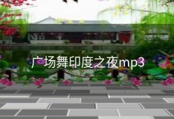 广场舞印度之夜mp3